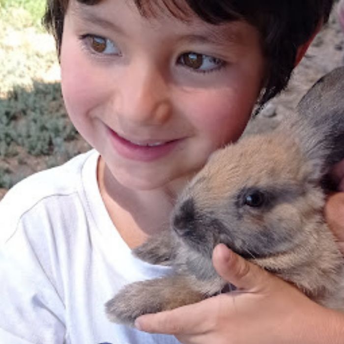 Experiencia educativa Semillas que Sanan — niños Arte Sur